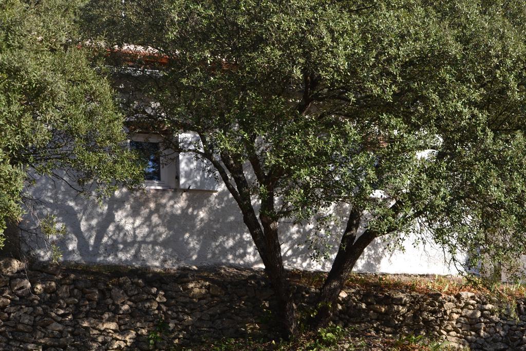 Tivoli En Provence Villa Cotignac Exteriör bild